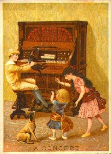 organ5