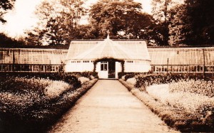 early photos of glasshouse_0003