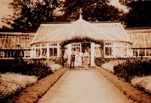 early photos of glasshouse_0005