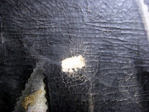 James I damage repaired and filled